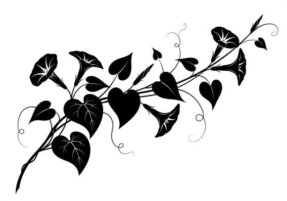 Black Heart Shaped Leaves on Vine Graphics