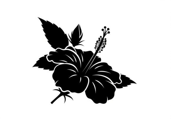 Black Hibiscus Graphics & Illustrations Review