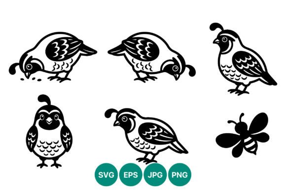 Quail Bird Vector Art with Bee Black: Clean Illustrations for Blog Graphics & Editorial Design